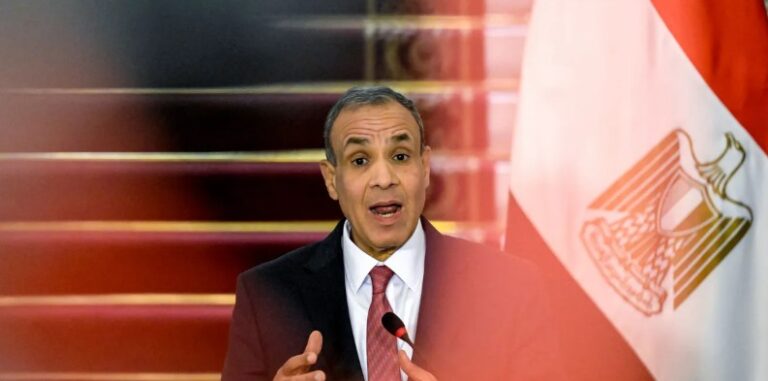 وزير الخارجية بدر عبد العاطي