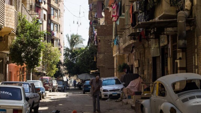 وزير الخارجية  بدر عبدالعاطي