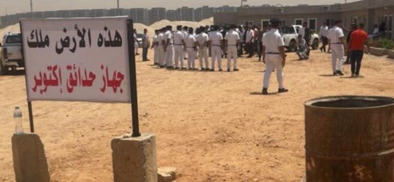 المستشار محمود فوزي