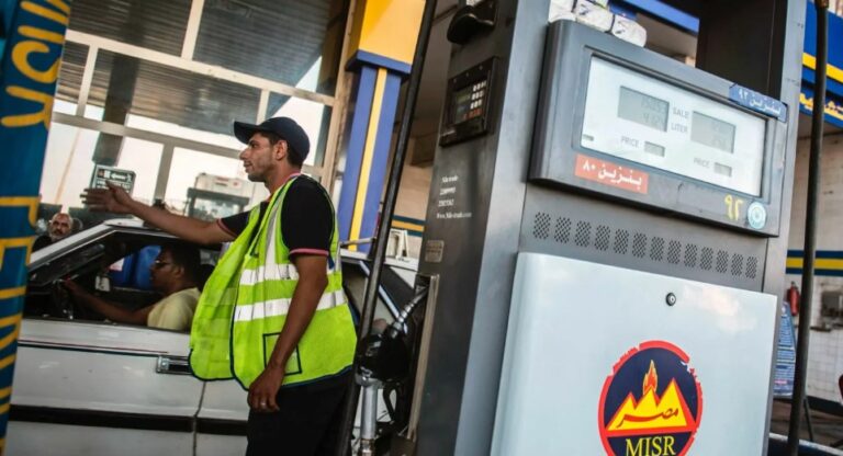 وزير الخارجية المصري بدر عبد العاطي